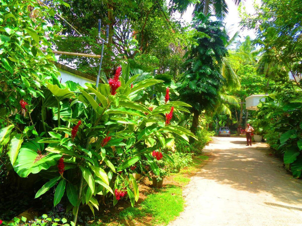 Nooit Gedacht Holiday Resort Унаватуна Экстерьер фото